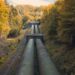 pipeline_through_the_forest